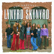 Whiskey Rock-a-roller by Lynyrd Skynyrd