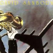 Flight by David Sanborn