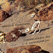 transmissions for a constellation