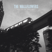 The Wallflowers: Collected: 1996-2005