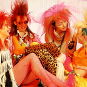 fuzzbox