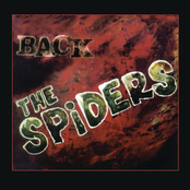 Back by The Spiders