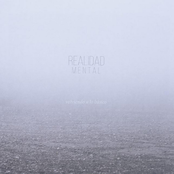 Volviendo a Lo Básico