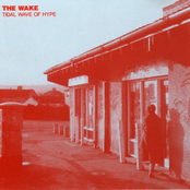 Provincial Disco by The Wake