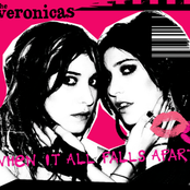 Everything I'm Not (jason Nevins Remix Edit) by The Veronicas