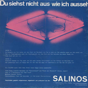 Sonntagmorgen Nach Der Samstagnacht by Die Salinos