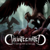Carnal Decay Of Life