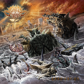 Shallow Water - Single