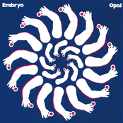 Revolution by Embryo