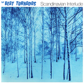 Groovus by The Beat Tornados