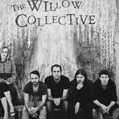 the willow collective