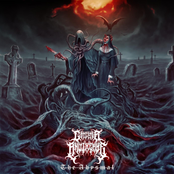 Catcher and the Rye: The Abysmal