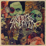 A Swarm Of Green Flies Over The Rusty Pot