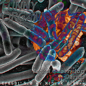 funny organism