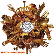 Fetid Putrescent Whiffs (demo)