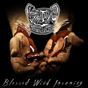 Blessed with Insanity