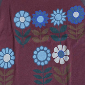 Miami Crice Party Versions