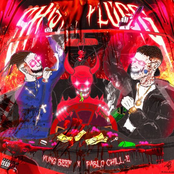 Shishiplugg