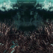 Dark Turquoise Expans