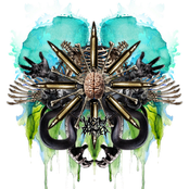 HOLLOW/SHARK - SINGLE