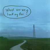 What Are We Looking For?