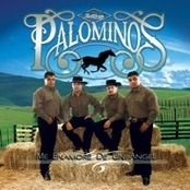 Como Puedo Hacer by Los Palominos