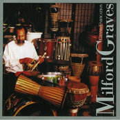 Transcendence by Milford Graves