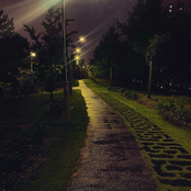 Rain and the Orchestra