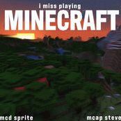 I Miss Playing Minecraft