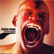 The Test Of Life by Praga Khan