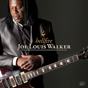 Joe Louis Walker: Hellfire
