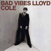 Fall Together by Lloyd Cole