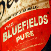 Bad Old Days by The Bluefields