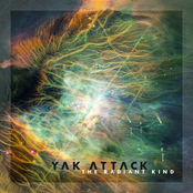 Yak Attack: The Radiant Kind