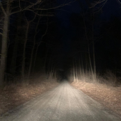 Crepuscular - Single