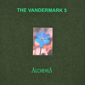 The Black And Crazy Blues by The Vandermark 5