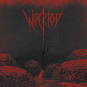 Widertod - Single