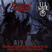 Ascensus to Forgotten Dreams in the Forest of Depressiva Luxuria