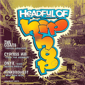 Headful Of Hip Hop