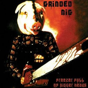 Freezer Full Of Nigger Heads