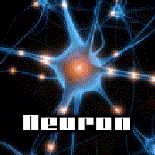 Neuron
