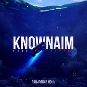 Я ныряю в ночь