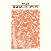 Quemacoco by Bear Bones, Lay Low