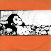 A Drifting Population