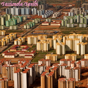 96 MPH in the Shade (LP)