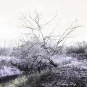 Неразделённые пространства