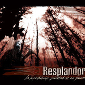 la imperturbable libertad de un sueño