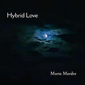 Hybrid Love