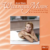 Wellness Music Vol. 2