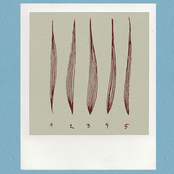 Cicatrices de un cuento (I)